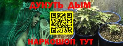 спайс Чебоксары