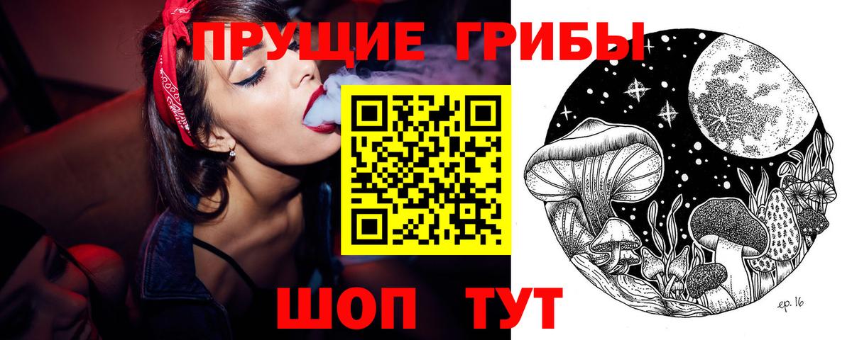 Псилоцибиновые грибы Psilocybine cubensis Фролово